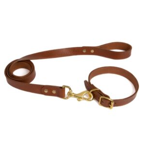 Dog Collar -1