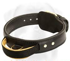 Dog Collar - 9