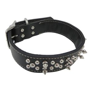 Dog Collar -10