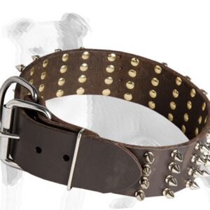 Dog Collar - 16