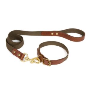 Dog Collar - 3