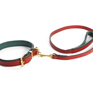 Dog Collar - 2