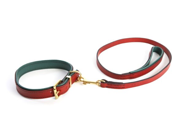 Dog Collar - 2