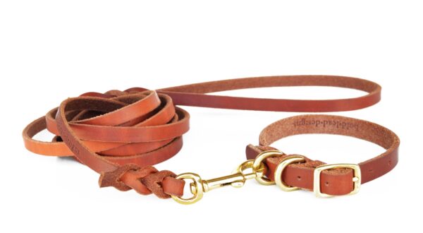 Dog Collar - 6