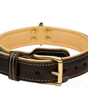 Dog Collar -7
