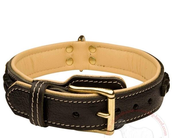 Dog Collar -7