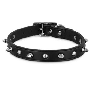Dog Collar - 8